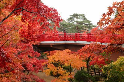 紅葉 見ごろ 弥彦公園 新潟県 の情報 ウォーカープラス