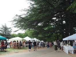 あがたの森公園に全国各地のクラフト作家が集結