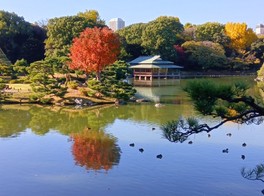 庭園に赤い紅葉が映える