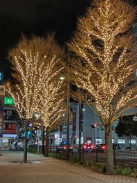 神奈川県のライトアップ情報一覧 3件 ウォーカープラス