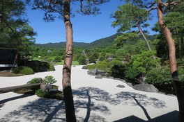 日本庭園のメインである赤松は約800本植えられており、すべて手作業で剪定が行われる