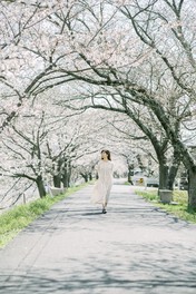 桜に囲まれたトンネルを歩く