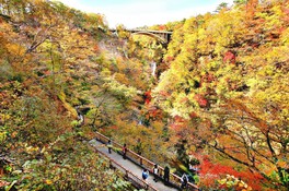 高さ約100mの渓谷に広がる紅葉は圧巻