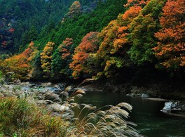カラフルに色づく山肌は秋だけの楽しみ