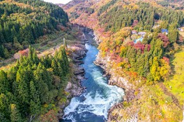渓谷を彩る真っ赤な紅葉