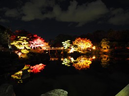 大仙公園 大阪府 の情報 ウォーカープラス