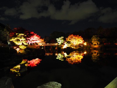 大仙日本庭園の紅葉 大阪府 の情報 ウォーカープラス