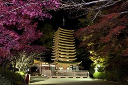 談山神社ライトアップ 奈良県 の情報 ウォーカープラス