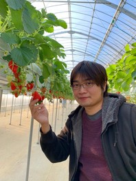 いちご狩り後はオーナー手作りのガーデンで遊べる