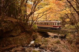 列車の外には鮮やかな景色が広がる