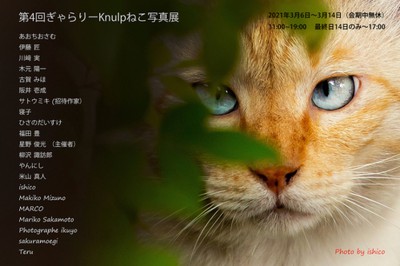 第4回 ぎゃらりーknulp ねこ写真展 東京都 の情報 ウォーカープラス