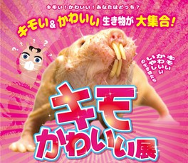 岡山県の趣味 生活 恋人と 夫婦で 情報一覧 4件 ウォーカープラス