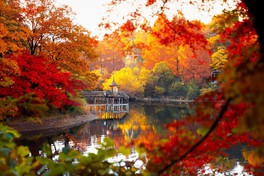 宮沢湖を囲むように彩る紅葉が見事