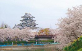 桜 見ごろ 墨俣一夜城 犀川堤 岐阜県 の情報 ウォーカープラス