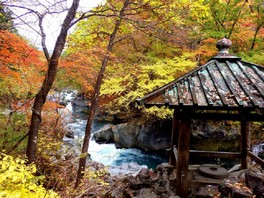 清流が織りなす渓谷が紅葉に彩られる