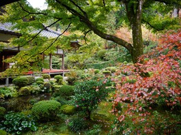 緑・赤・黄色のコントラストが美しい