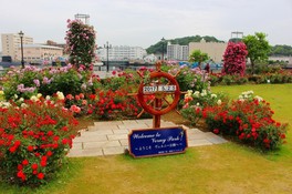 神奈川県の花 自然情報一覧 今週末 5件 ウォーカープラス