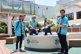 夏仕様の水の演出を楽しめる「アシカのびちょびちょ大作戦！」
