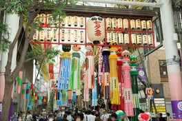 東北三大祭りのひとつとして知られる仙台七夕まつり