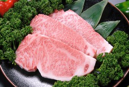 ほどよくサシが入り旨味たっぷりの白老牛