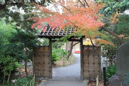 緑豊かな園内で紅葉の赤色が映える