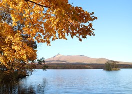 西大島から望む大沼湖、紅葉と湖の絶景が広がる