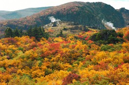 栗駒山の絶景に紅葉がさらに彩を加える