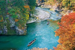 秋には美しい紅葉に包まれる