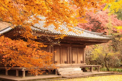 紅葉 見ごろ 富貴寺 大分県 の情報 ウォーカープラス