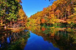 雲海とともに紅葉を楽しむことも