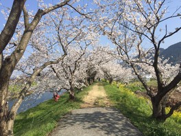 久留米百年公園 福岡県 公園 の料金 クレジットカード情報 ウォーカープラス