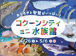 水中の生き物が生体展示される水族館イベント