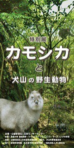 特別展 カモシカと犬山の野生動物 愛知県 の情報 ウォーカープラス
