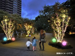 日本庭園に面する散歩道がイルミネーションで飾られる