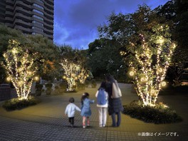 日本庭園に面する散歩道がイルミネーションで飾られる