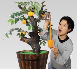 進化した食品サンプルの世界が愛媛県に初登場