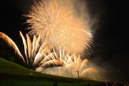 夜空を埋め尽くす黄金の大輪が圧巻