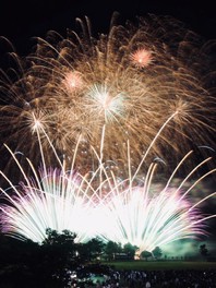 美浜の自然を背景に咲き誇る大輪の花火