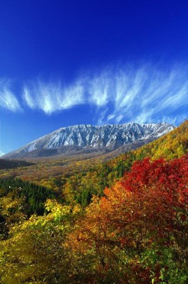 こころの風景コレクション【谷田穎郎　大山の紅葉（鍵掛峠）】60％お値引き！！ 大山で紅葉を楽しむならココ！鍵掛峠からの展望がスバラシイ