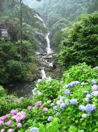 第33回 日本の滝百選 見帰りの滝「あじさいまつり」
