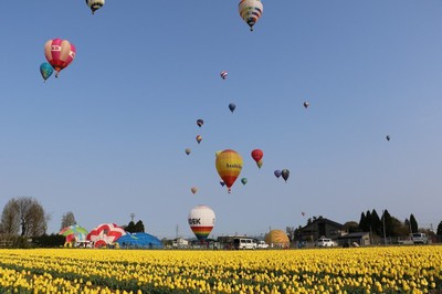 チューリップバルーン21 富山県 の情報 ウォーカープラス