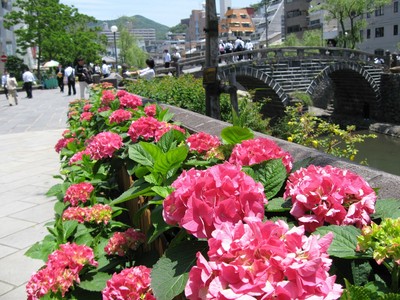 ながさき紫陽花まつり 長崎県 の情報 ウォーカープラス