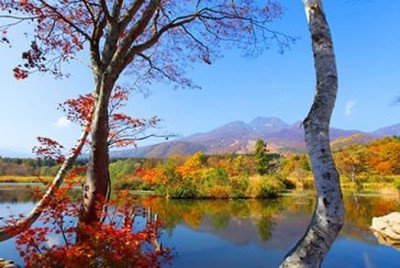 紅葉 見ごろ いもり池 新潟県 の情報 ウォーカープラス