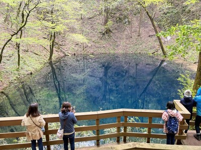 紅葉 秋の十二湖33湖めぐり 青森県 の情報 ウォーカープラス