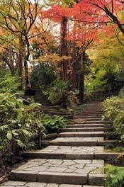 紅葉が奥に続く階段を彩り豊かにする