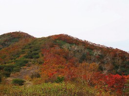 高倉山の登山を楽しみながら紅葉を堪能