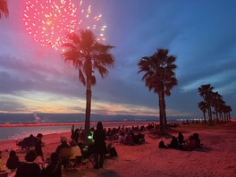 夕暮れのビーチに映えるヤシの木と花火