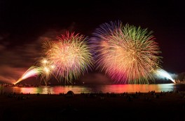 大輪の花火が白良浜の夜空に鮮やかに咲く
