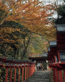 灯ろうと紅葉の赤が景観を引き立てる
