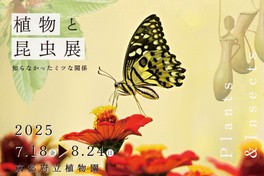 植物と昆虫との関係を知ることができる